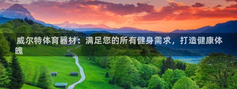 耀世集团商业联盟罗文斌主任： 威尔特体育器材：满足您