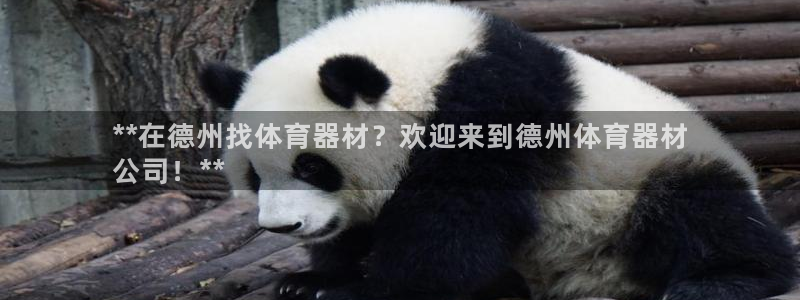 六星耀世什么意思：**在德州找体育器材？欢迎来到德州