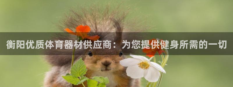 耀世娱乐是不是赚钱快：衡阳优质体育器材供应商：为您提