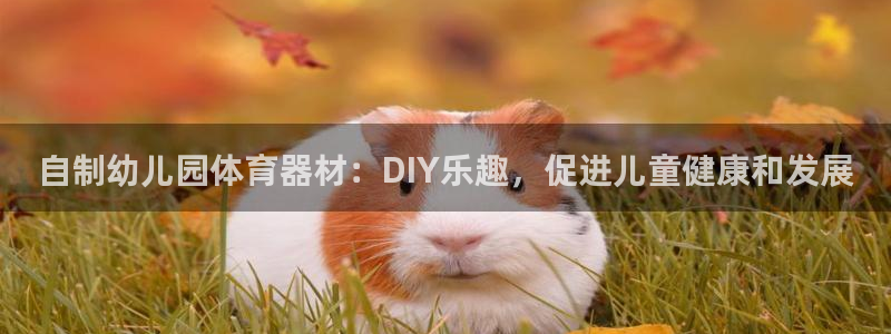 耀世啥意思：自制幼儿园体育器材：DIY乐趣，促进儿童