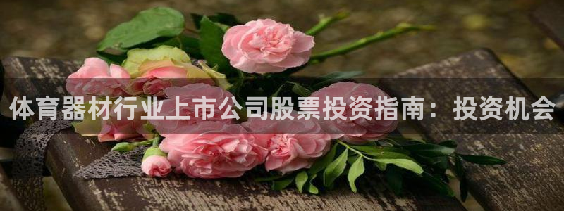 耀世的意思：体育器材行业上市公司股票投资指南：投资机