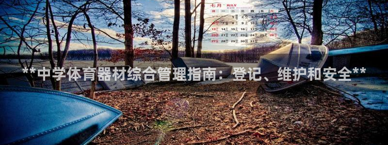 耀世平台代理多少钱：**中学体育器材综合管理指南：登