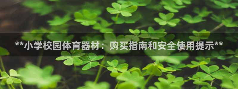 耀世娱乐app下载安装：**小学校园体育器材：购买指