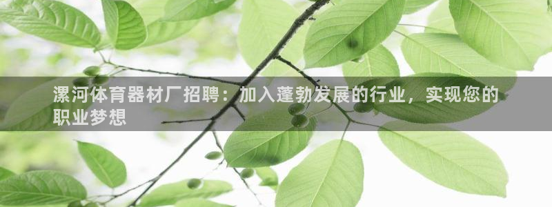 耀世娱乐赢咖6代理：漯河体育器材厂招聘：加入蓬勃发展