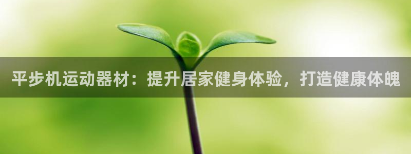 耀世平台的运营模式分析：平步机运动器材：提升居家健身