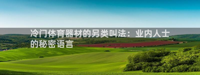 耀世平台日7O777：冷门体育器材的另类叫法：业内人