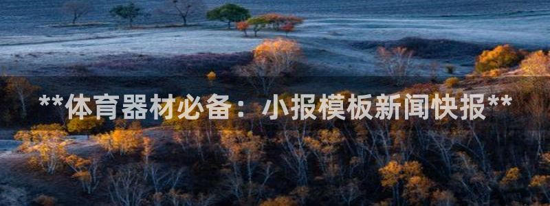 耀世微光mv：**体育器材必备：小报模板新闻快报**