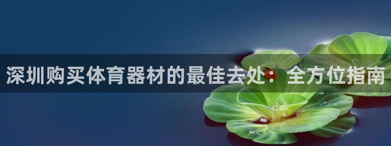 耀世娱乐含山县