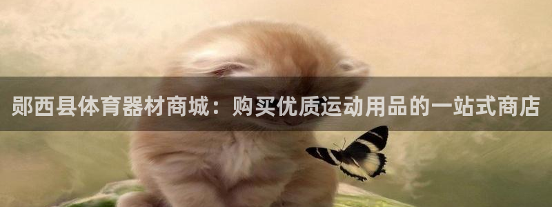 耀世娱乐提现失败怎么办：郧西县体育器材商城：购买优质