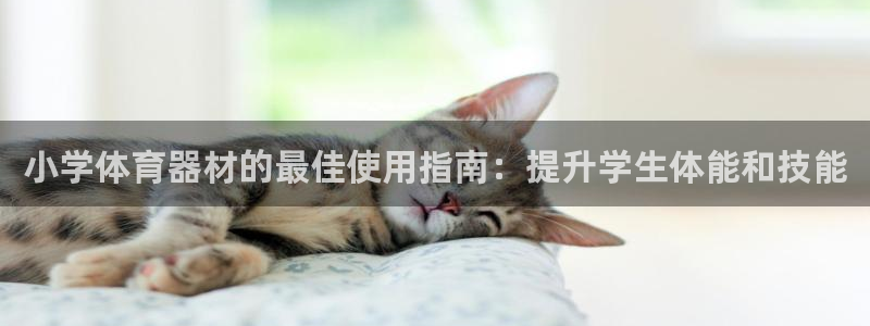 耀世娱乐app下载安装最新版