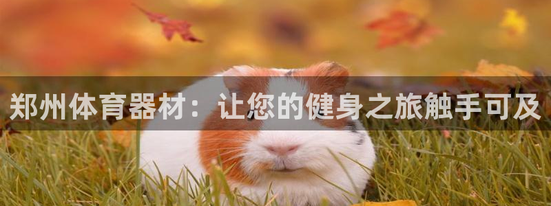 耀世娱乐官网首页登录：郑州体育器材：让您的健身之旅触