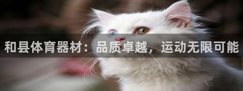 耀世娱乐在线登录官网入口网址：和县体育器材：品质卓越