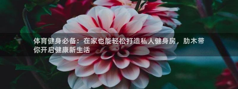 耀世集团是什么电影院：体育健身必备：在家也能轻松打造