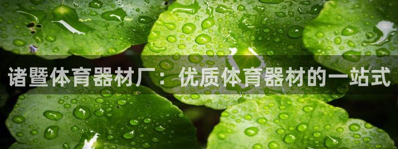 耀世平台代理怎么样：诸暨体育器材厂：优质体育器材的一