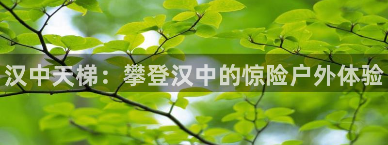 耀世集团是什么电影院