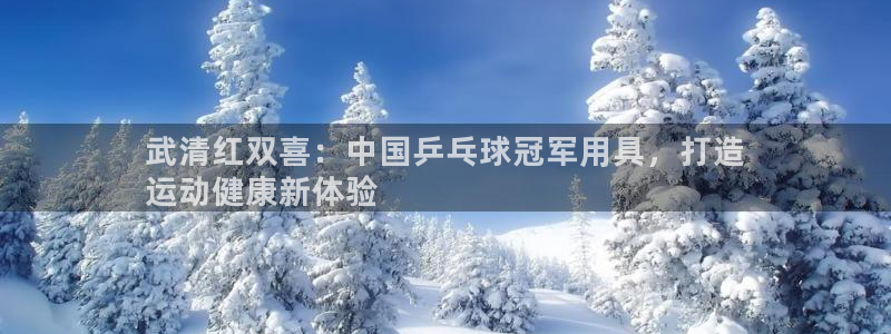 耀世娱乐挂机怎么玩：武清红双喜：中国乒乓球冠军用具，