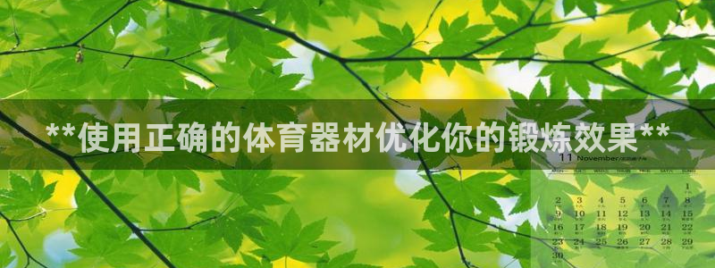 耀世娱乐安全吗可靠吗：**使用正确的体育器材优化你的