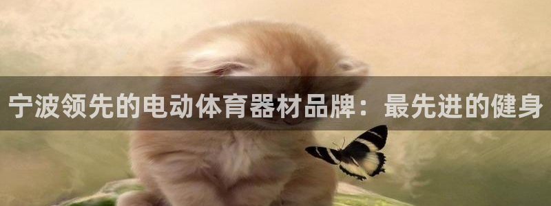 耀世娱乐挂机：宁波领先的电动体育器材品牌：最先进的健