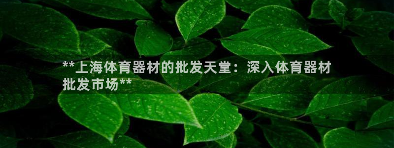 耀世平台主管代理：**上海体育器材的批发天堂：深入体