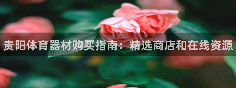 耀世集团王大聪图片：贵阳体育器材购买指南：精选商店和