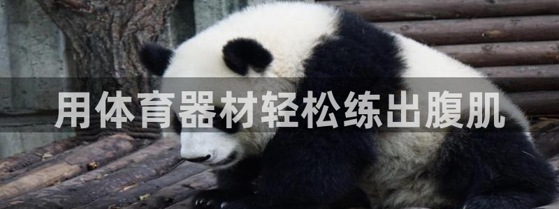 耀世娱乐登陆地址查询：用体育器材轻松练出腹肌