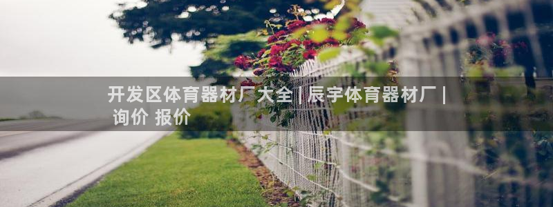 耀世娱乐是不是很黑：开发区体育器材厂大全 | 辰宇体