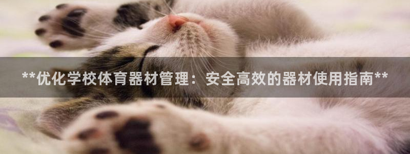 耀世娱乐能提现吗现在多少钱：**优化学校体育器材管理
