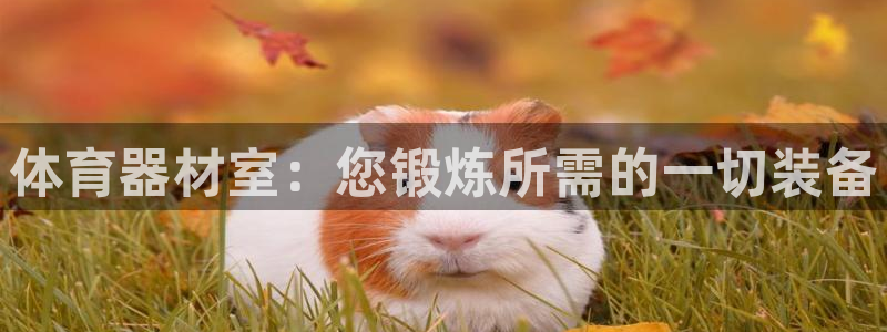 耀世娱乐辅助软件下载：体育器材室：您锻炼所需的一切装