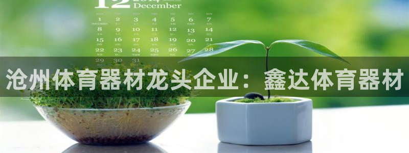 耀世娱乐老板叫什么：沧州体育器材龙头企业：鑫达体育器