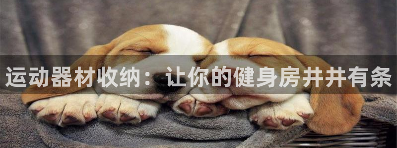耀世平台佳 5O6917 耀世