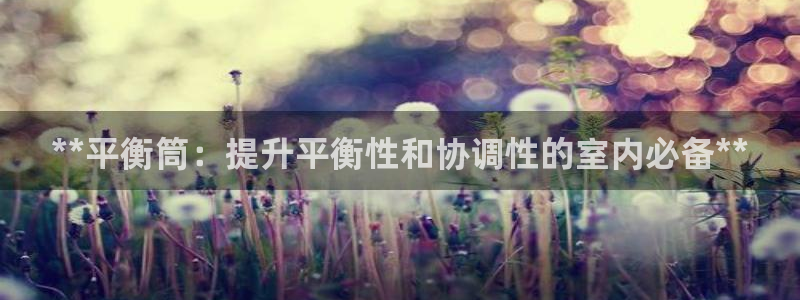 耀世娱乐提款机怎么用：**平衡筒：提升平衡性和协调性