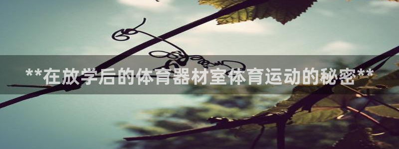 耀世平台主管：**在放学后的体育器材室体育运动的秘密