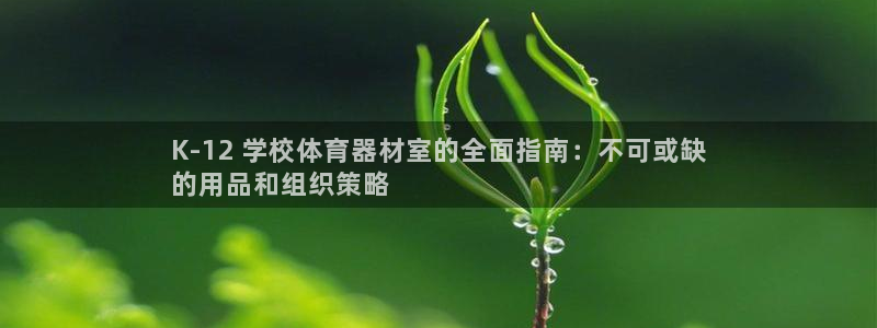 耀世盛典官网：K-12 学校体育器材室的全面指南：不