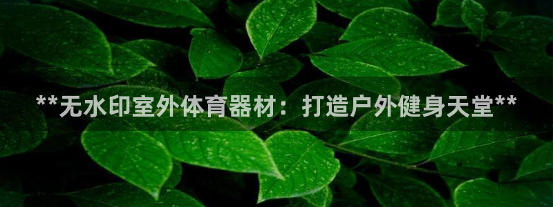 耀世平台app下载：**无水印室外体育器材：打造户外