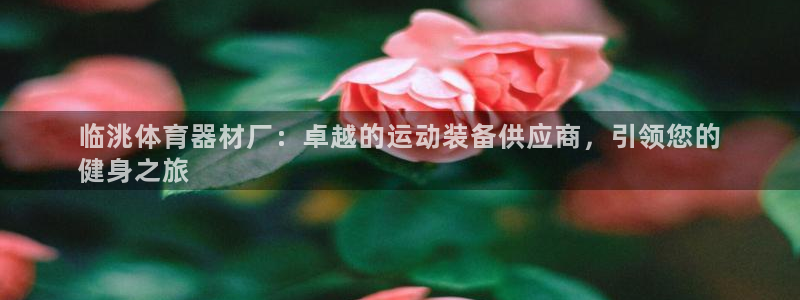 耀世平台是黑台子吗还是白台：临洮体育器材厂：卓越的运