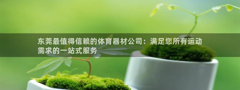 耀世娱乐官网网站首页：东莞最值得信赖的体育器材公司：