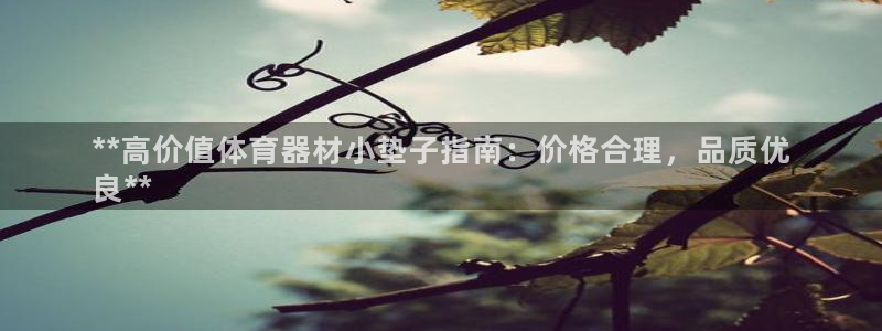 耀世平台最新注册地址是哪里：**高价值体育器材小垫子