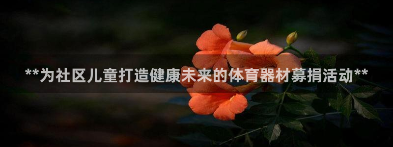 耀世盛典下载：**为社区儿童打造健康未来的体育器材募