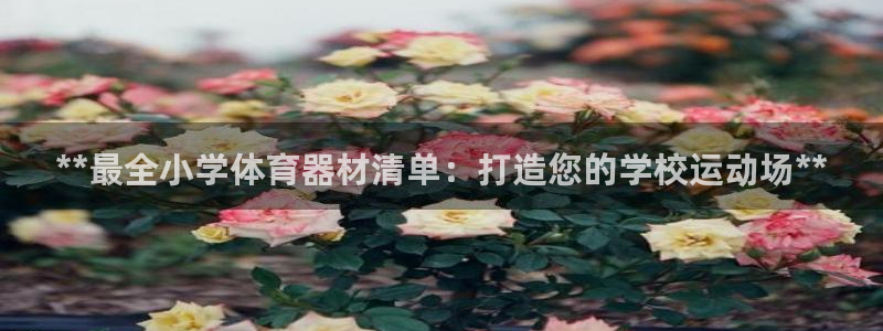 耀世集团公益：**最全小学体育器材清单：打造您的学校