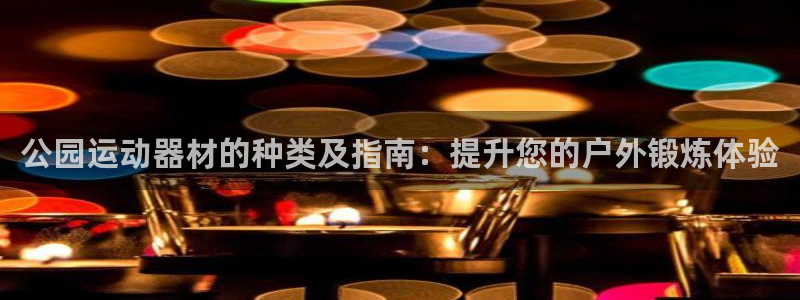 耀世娱乐官方网站入口：公园运动器材的种类及指南：提升