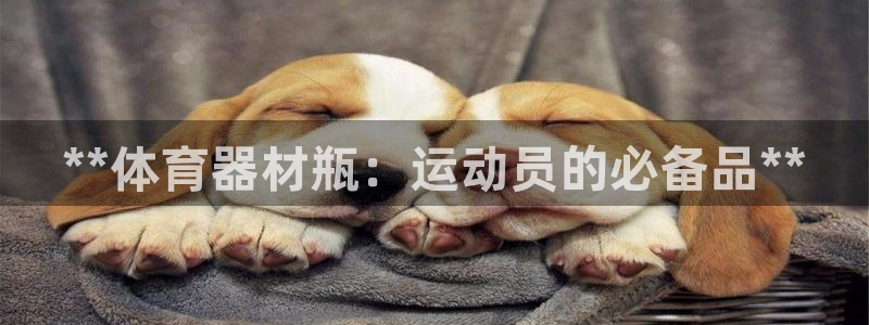 耀世集团视频：**体育器材瓶：运动员的必备品**