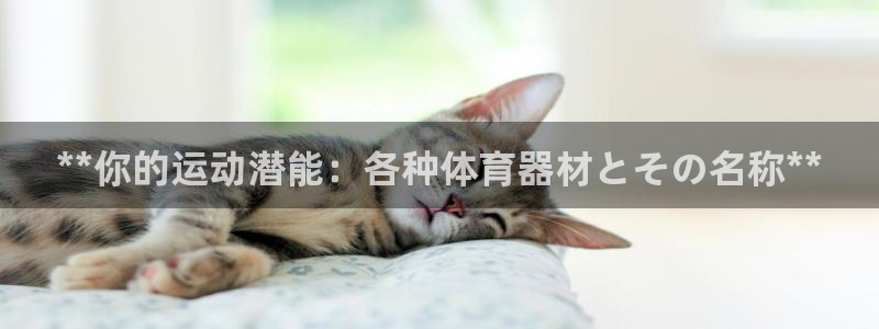 耀世辉煌：**你的运动潜能：各种体育器材とその名称*