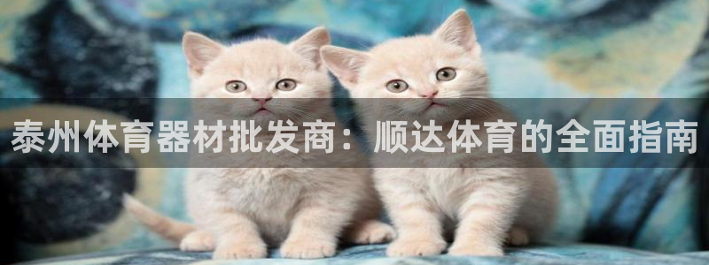 耀世娱乐出款快吗知乎：泰州体育器材批发商：顺达体育的