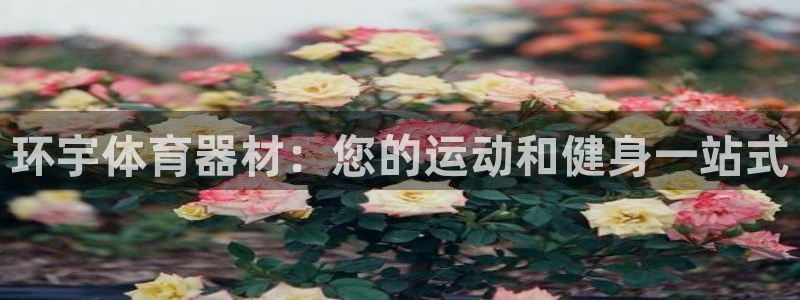 耀世娱乐出款快吗是真的吗：环宇体育器材：您的运动和健身一站式