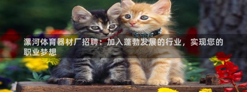 耀世平台开户联4.8.7.7.8.4他系稳定吗：漯河