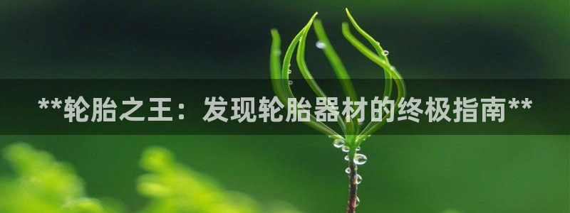 耀世娱乐下载链接安装不了：**轮胎之王：发现轮胎器材