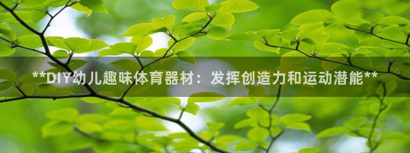 耀世娱乐：**DIY幼儿趣味体育器材：发挥创造力和运