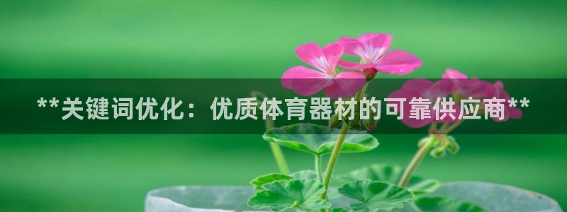 耀世天下怎么接：**关键词优化：优质体育器材的可靠供