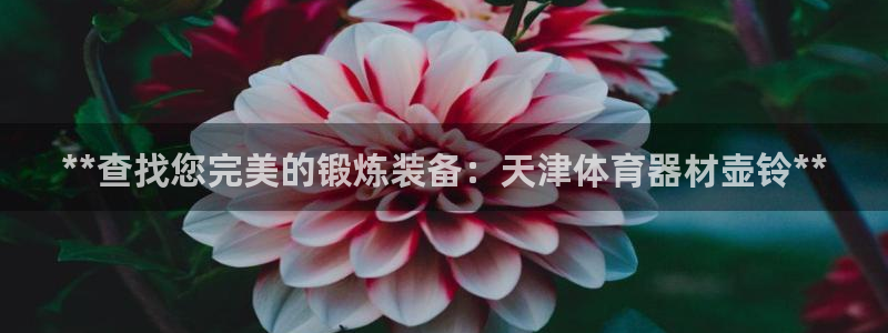 耀世平台负责人怎么样：**查找您完美的锻炼装备：天津