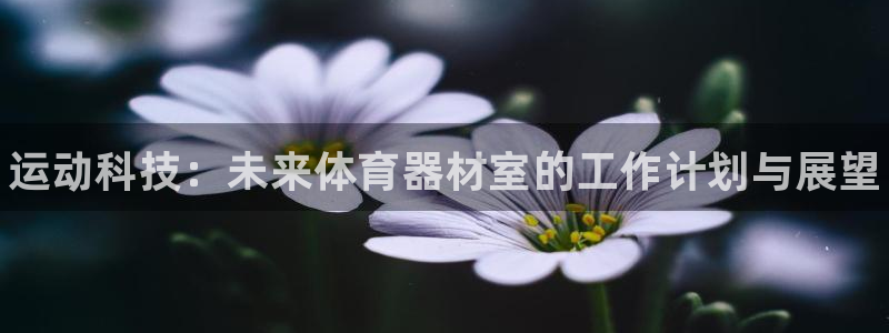 耀世娱乐app下载安装手机版